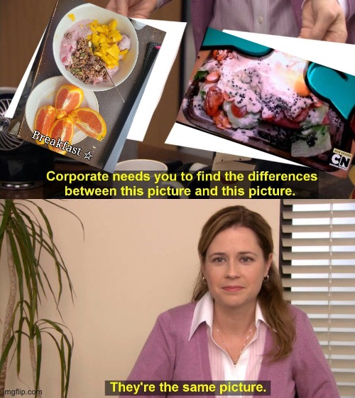 They are the same picture | image tagged in they are the same picture | made w/ Imgflip meme maker