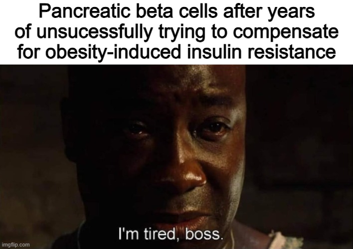 Type 2 Diabetes | Pancreatic beta cells after years of unsucessfully trying to compensate for obesity-induced insulin resistance | image tagged in i'm tired boss | made w/ Imgflip meme maker