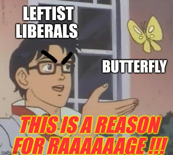 Is This A Pigeon Meme | LEFTIST LIBERALS BUTTERFLY THIS IS A REASON FOR RAAAAAAGE !!! | image tagged in memes,is this a pigeon | made w/ Imgflip meme maker