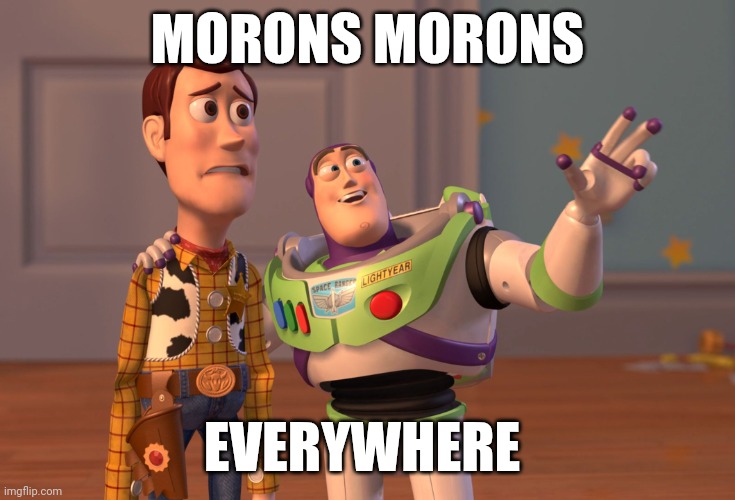 Morons | MORONS MORONS; EVERYWHERE | image tagged in memes,x x everywhere | made w/ Imgflip meme maker