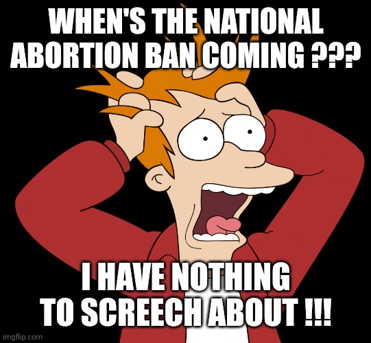 Futurama Fry Screaming | WHEN'S THE NATIONAL ABORTION BAN COMING ??? I HAVE NOTHING TO SCREECH ABOUT !!! | image tagged in futurama fry screaming | made w/ Imgflip meme maker