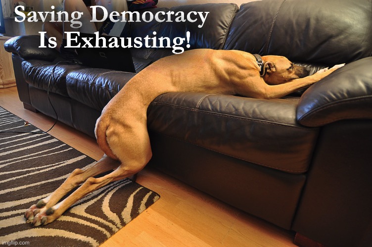 Saving Democracy Dog | Saving Democracy 
Is Exhausting! | image tagged in saving democracy,exhausted,dog tired | made w/ Imgflip meme maker