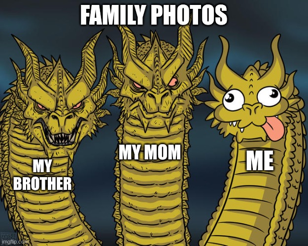 lol | FAMILY PHOTOS; MY MOM; ME; MY BROTHER | image tagged in three-headed dragon | made w/ Imgflip meme maker