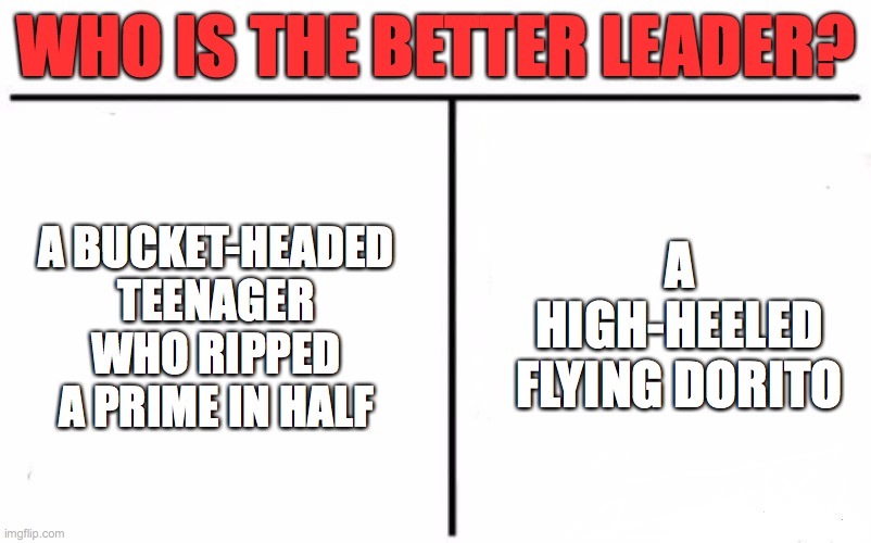 For real though | WHO IS THE BETTER LEADER? A BUCKET-HEADED TEENAGER WHO RIPPED A PRIME IN HALF; A HIGH-HEELED FLYING DORITO | image tagged in who would win blank | made w/ Imgflip meme maker