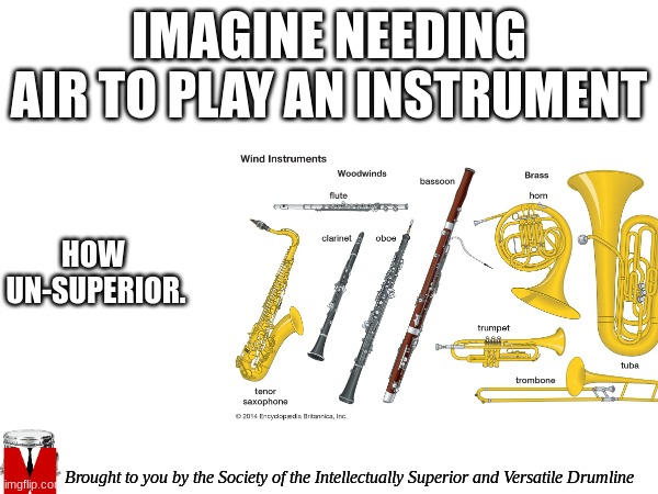 You mere mortals, bickering on instruments. Us drummers need no Instrument, only our Hands and the ground under us. (Mod: u are  | IMAGINE NEEDING AIR TO PLAY AN INSTRUMENT; HOW 
UN-SUPERIOR. Brought to you by the Society of the Intellectually Superior and Versatile Drumline | image tagged in band,drummer,we are intellectually superior in every way | made w/ Imgflip meme maker