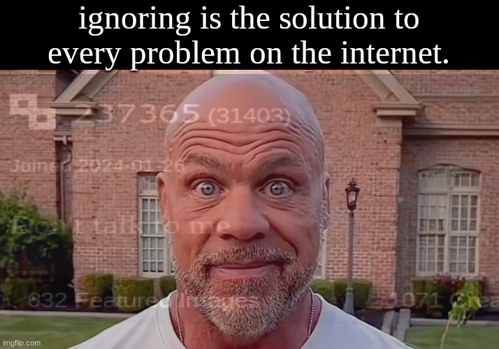 Kurt Angle Stare | ignoring is the solution to every problem on the internet. | image tagged in kurt angle stare | made w/ Imgflip meme maker