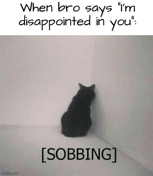 Sobbing cat | When bro says "I'm disappointed in you": | image tagged in sobbing cat | made w/ Imgflip meme maker