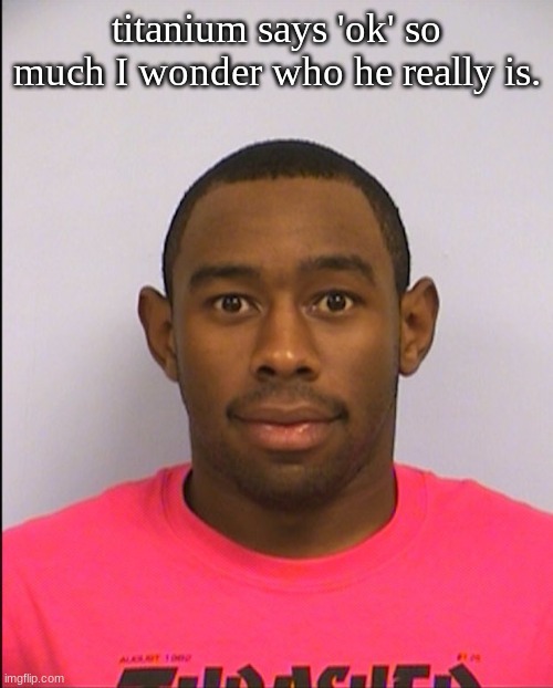 Tyler Mugshot | titanium says 'ok' so much I wonder who he really is. | image tagged in tyler mugshot | made w/ Imgflip meme maker