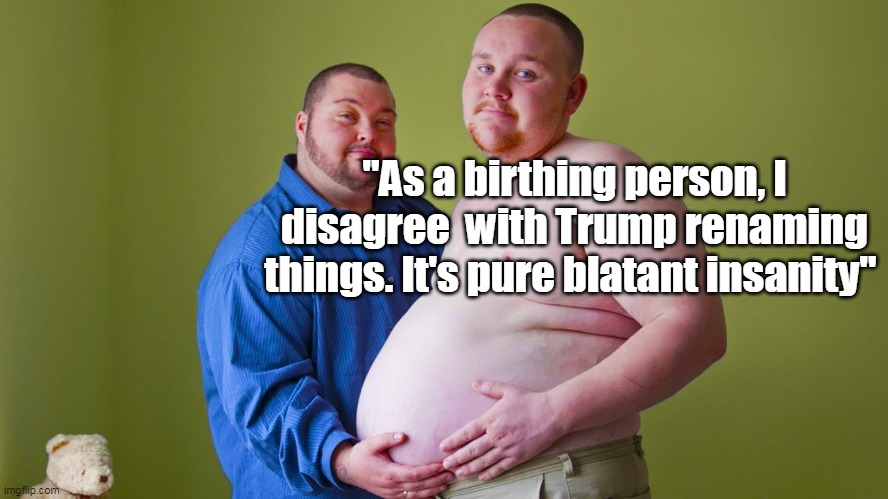 "As a birthing person, I disagree  with Trump renaming things. It's pure blatant insanity" | made w/ Imgflip meme maker