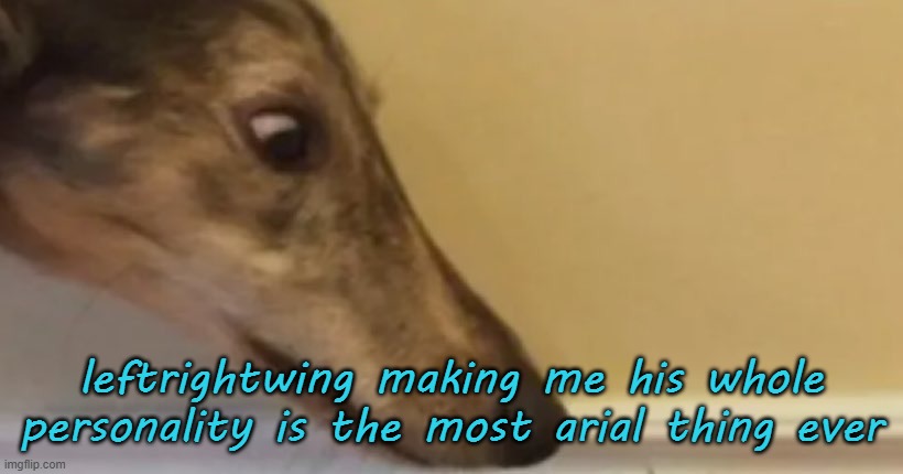 long nose dog | leftrightwing making me his whole personality is the most arial thing ever | image tagged in long nose dog | made w/ Imgflip meme maker