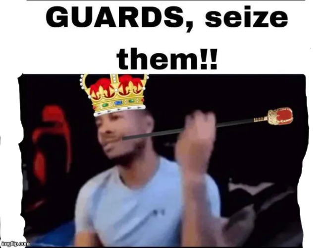 Guards seize them | image tagged in guards seize them | made w/ Imgflip meme maker