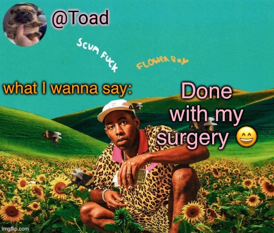 Just a bit loopy from the anesthesia | Done with my surgery 😄 | image tagged in tylor im kissing you spino | made w/ Imgflip meme maker