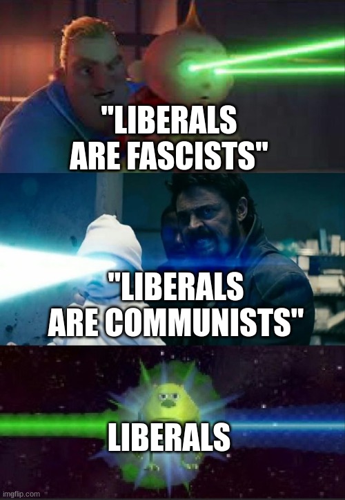 WHAT ARE WE?! | "LIBERALS ARE FASCISTS"; "LIBERALS ARE COMMUNISTS"; LIBERALS | image tagged in laser babies to mike wazowski,memes,communism,fascism,liberalism,politics | made w/ Imgflip meme maker