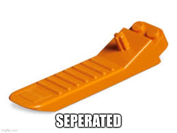 Lego seperator | SEPERATED | image tagged in lego seperator | made w/ Imgflip meme maker