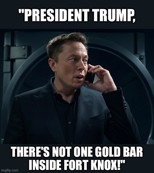 DOGE. | "PRESIDENT TRUMP, THERE'S NOT ONE GOLD BAR
INSIDE FORT KNOX!" | image tagged in president trump,donald trump,republican party,elon musk,us government,gold | made w/ Imgflip meme maker