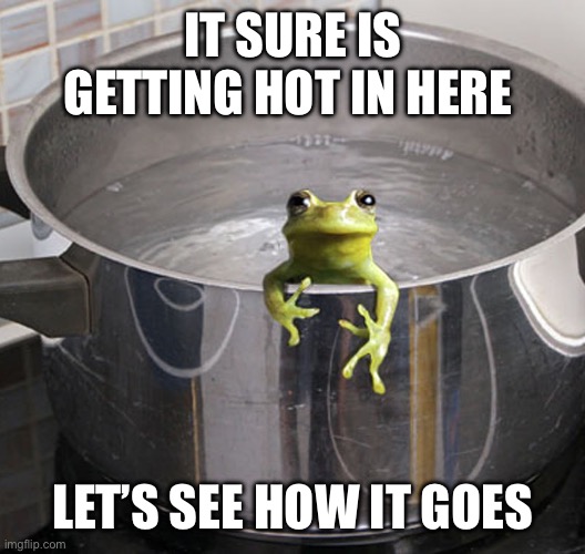 Frog in pot boiling water | IT SURE IS GETTING HOT IN HERE; LET’S SEE HOW IT GOES | image tagged in frog in pot boiling water | made w/ Imgflip meme maker