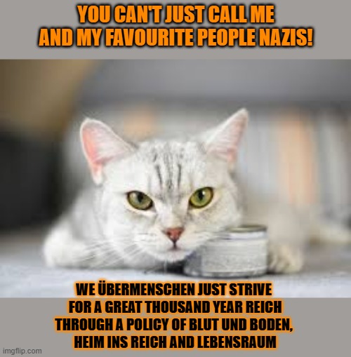 This #lolcat wonders why fascists cry when you call them fascists.It's true and fall under 'free speech', right? | YOU CAN'T JUST CALL ME AND MY FAVOURITE PEOPLE NAZIS! WE ÜBERMENSCHEN JUST STRIVE 
FOR A GREAT THOUSAND YEAR REICH
THROUGH A POLICY OF BLUT UND BODEN, 
HEIM INS REICH AND LEBENSRAUM | image tagged in nazis,fascism,lolcat,fascists,snowflakes | made w/ Imgflip meme maker