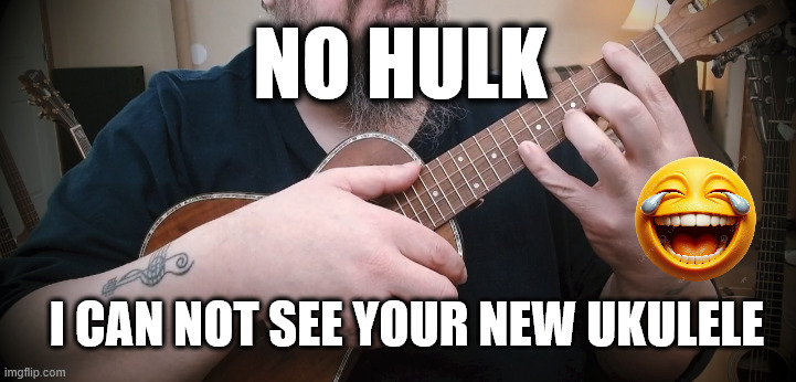 Hulk | NO HULK; I CAN NOT SEE YOUR NEW UKULELE | image tagged in ukulele | made w/ Imgflip meme maker