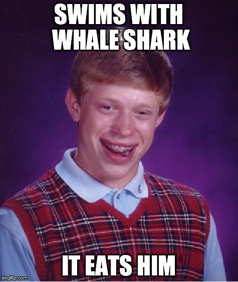 SWIMS WITH WHALE SHARK IT EATS HIM | image tagged in memes,bad luck brian | made w/ Imgflip meme maker