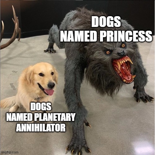 dog vs werewolf | DOGS NAMED PRINCESS DOGS NAMED PLANETARY ANNIHILATOR | image tagged in dog vs werewolf | made w/ Imgflip meme maker