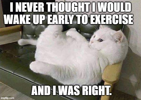 Exercise | I NEVER THOUGHT I WOULD WAKE UP EARLY TO EXERCISE; AND I WAS RIGHT. | image tagged in smudge that darn cat | made w/ Imgflip meme maker