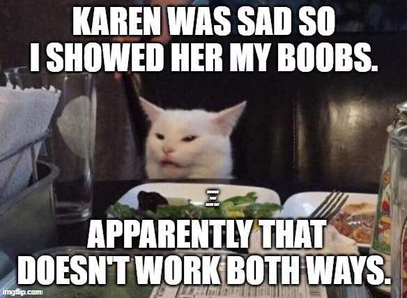 Boobs | KAREN WAS SAD SO I SHOWED HER MY BOOBS. APPARENTLY THAT DOESN'T WORK BOTH WAYS. | image tagged in smudge that darn cat | made w/ Imgflip meme maker