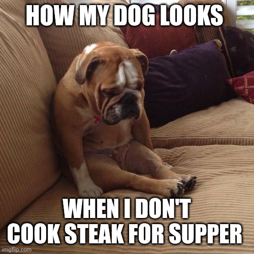 Dog | HOW MY DOG LOOKS; WHEN I DON'T COOK STEAK FOR SUPPER | image tagged in bulldogsad | made w/ Imgflip meme maker