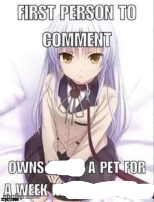 . | image tagged in first person to comment owns as a pet for a week | made w/ Imgflip meme maker