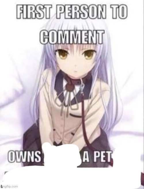 first person to comment owns as a pet for a week | image tagged in first person to comment owns as a pet for a week | made w/ Imgflip meme maker
