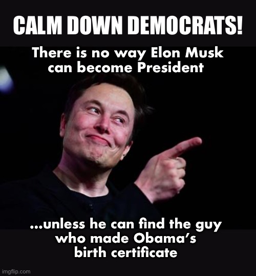 Elon musk | CALM DOWN DEMOCRATS! There is no way Elon Musk
can become President; …unless he can find the guy 
who made Obama’s 
birth certificate | image tagged in elon musk | made w/ Imgflip meme maker