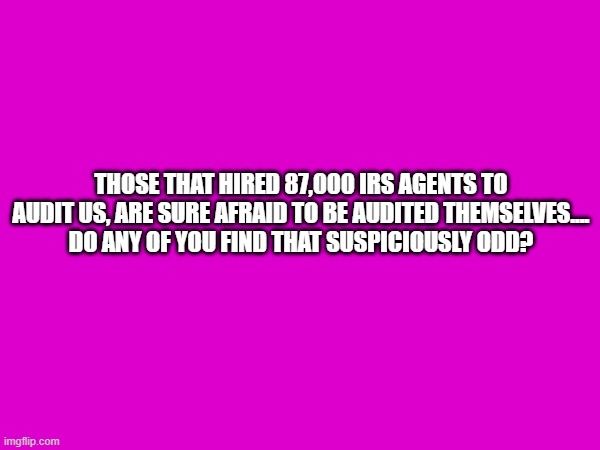 irs | THOSE THAT HIRED 87,000 IRS AGENTS TO AUDIT US, ARE SURE AFRAID TO BE AUDITED THEMSELVES....
DO ANY OF YOU FIND THAT SUSPICIOUSLY ODD? | image tagged in doge | made w/ Imgflip meme maker