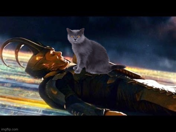 More powerful than Thor’s hammer | image tagged in cat,laying on you,cant move,thors hammer | made w/ Imgflip meme maker