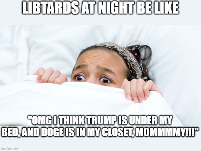 Oh I love it,  The way they cry .. It makes me smile so much | LIBTARDS AT NIGHT BE LIKE; "OMG I THINK TRUMP IS UNDER MY BED, AND DOGE IS IN MY CLOSET, MOMMMMY!!!" | image tagged in stupid liberals,funny memes,political humor,truth,donald trump approves | made w/ Imgflip meme maker