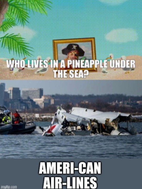 We bring the BOOOOM | AMERI-CAN
AIR-LINES | image tagged in american airlines,pineapple,underwater,dark humor | made w/ Imgflip meme maker