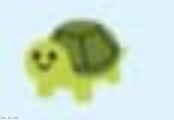 low quality turtle | image tagged in low quality turtle | made w/ Imgflip meme maker