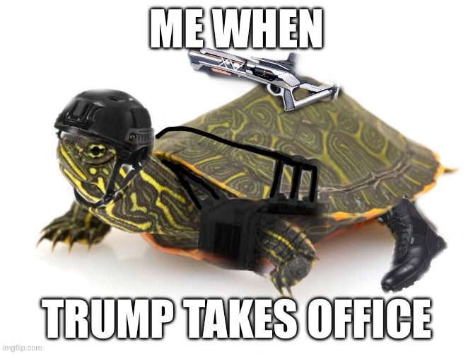 ME WHEN; TRUMP TAKES OFFICE | made w/ Imgflip meme maker