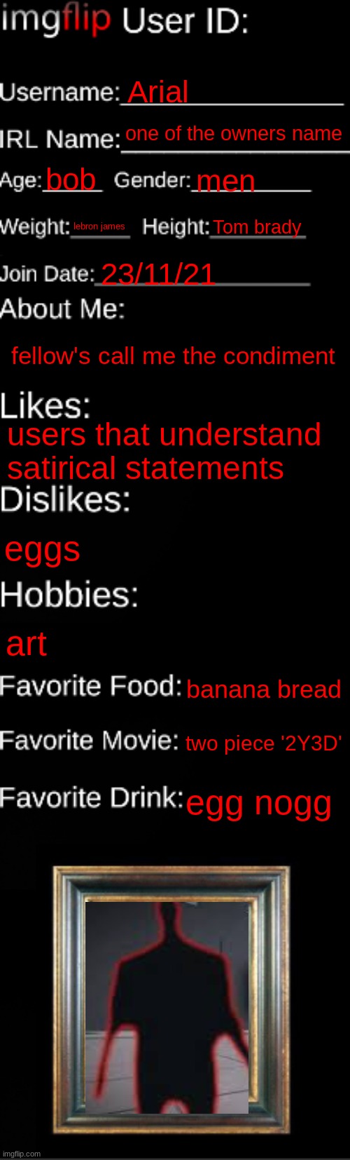 imgflip ID Card | Arial; one of the owners name; bob; men; lebron james; Tom brady; 23/11/21; fellow's call me the condiment; users that understand satirical statements; eggs; art; banana bread; two piece '2Y3D'; egg nogg | image tagged in imgflip id card | made w/ Imgflip meme maker