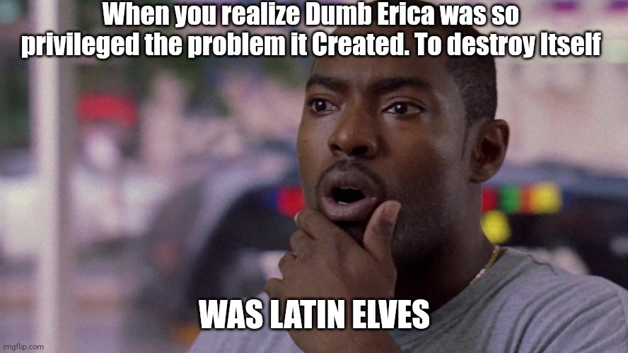 Wee Bey Word Nun Is Just The Letter N Doing Cartwheel | When you realize Dumb Erica was so privileged the problem it Created. To destroy Itself; WAS LATIN ELVES | image tagged in when you realize,dumb erica,lulz | made w/ Imgflip meme maker