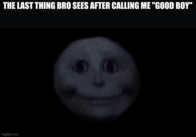 *insert Title here ig* | THE LAST THING BRO SEES AFTER CALLING ME "GOOD BOY" | image tagged in creepy face,relatable,true,funny,fun | made w/ Imgflip meme maker