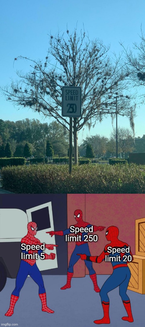 Speed limit 250 | Speed limit 250; Speed limit 5; Speed limit 20 | image tagged in spider man triple,speed limit,you had one job,memes,sign,numbers | made w/ Imgflip meme maker