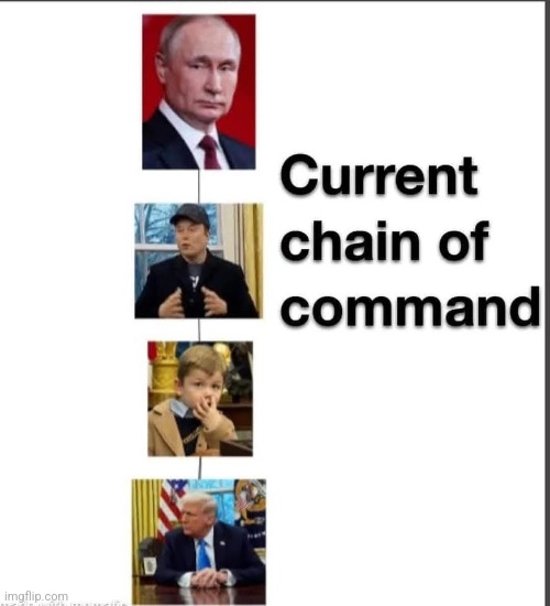 Chain of command | image tagged in donald trump,trump,elon musk,maga,nevertrump,nevertrump meme | made w/ Imgflip meme maker