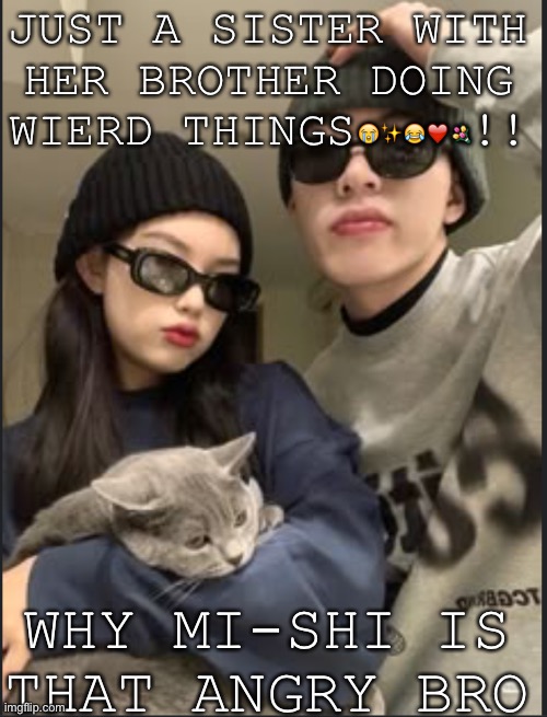 Mi-shi is my cat | JUST A SISTER WITH HER BROTHER DOING WIERD THINGS😭✨😂❤️💐!! WHY MI-SHI IS THAT ANGRY BRO | image tagged in i have never met this man in my life | made w/ Imgflip meme maker