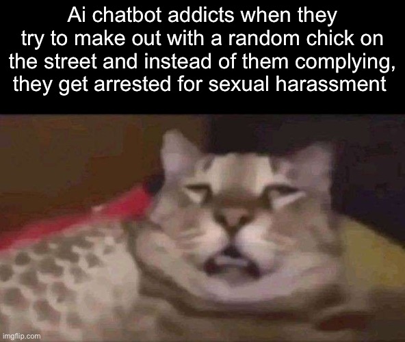 Ai chatbot addicts when they try to make out with a random chick on the street and instead of them complying, they get arrested for sexual harassment | made w/ Imgflip meme maker