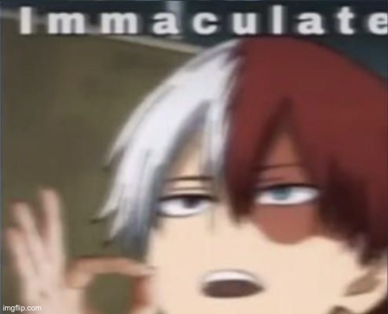 Immaculate Todoroki | image tagged in immaculate todoroki | made w/ Imgflip meme maker