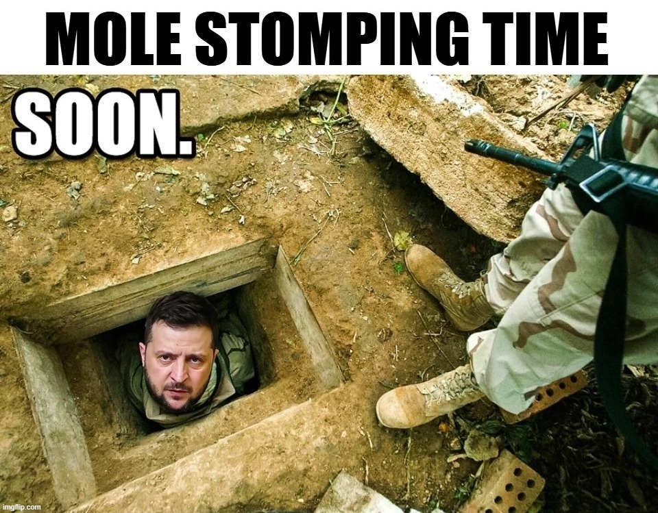 SOON. | image tagged in mole stomping,naked mole rat,guacamole,zelensky,russo-ukrainian war,ukraine | made w/ Imgflip meme maker