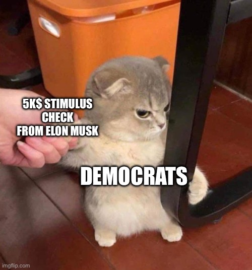 No thanks | 5K$ STIMULUS CHECK FROM ELON MUSK; DEMOCRATS | image tagged in i don't wanna come cat | made w/ Imgflip meme maker