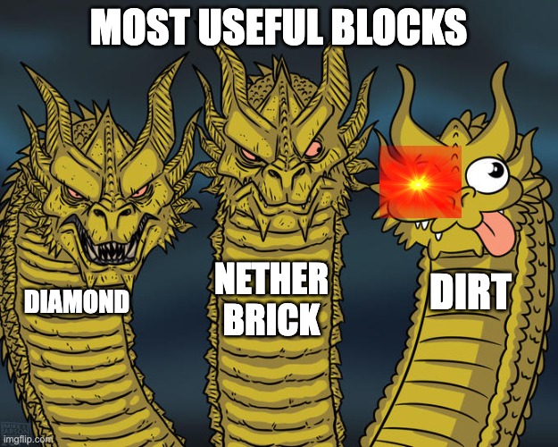 Three-headed Dragon | MOST USEFUL BLOCKS; NETHER BRICK; DIRT; DIAMOND | image tagged in three-headed dragon | made w/ Imgflip meme maker