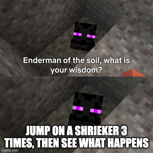 Enderman of the soil | JUMP ON A SHRIEKER 3 TIMES, THEN SEE WHAT HAPPENS | image tagged in enderman of the soil | made w/ Imgflip meme maker