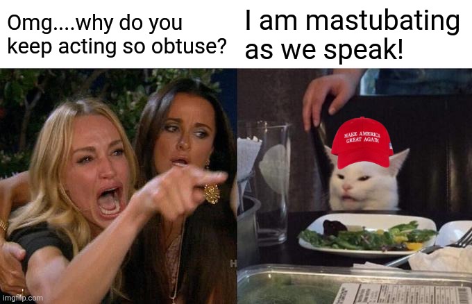 MAGA claims there enjoy the oain pf others.  What is that called again? | Omg....why do you keep acting so obtuse? I am mastubating as we speak! | image tagged in memes,woman yelling at cat | made w/ Imgflip meme maker