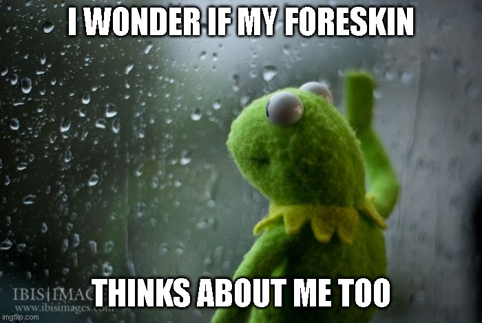 I miss you | I WONDER IF MY FORESKIN; THINKS ABOUT ME TOO | image tagged in kermit window | made w/ Imgflip meme maker